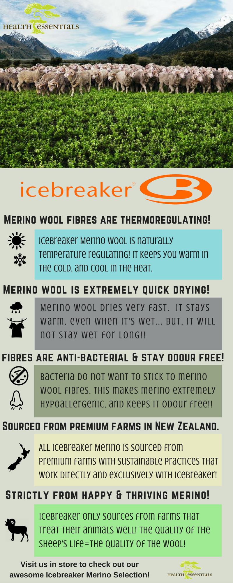icebreaker-infograph
