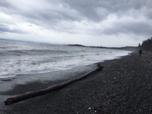 9 Best Beaches In Victoria BC - Health Essentials