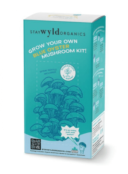 Stay Wyld Organics Blue Oyster Mushroom Kit Health Essentials Victoria BC